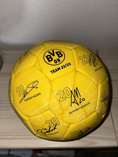 Bvb ball mit unterschriften - ball,