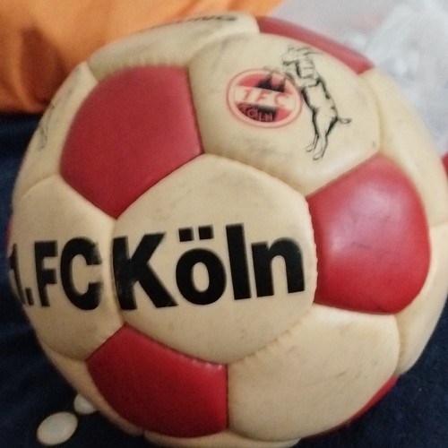 Köln fußball rot weiß - 1., rot/weiß